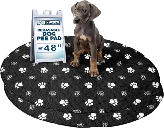 EZwhelp Pack of 2 Reusable Dog Pee Pad, Washable Slip-Resistant Waterproof Mat, 24x48 Inches