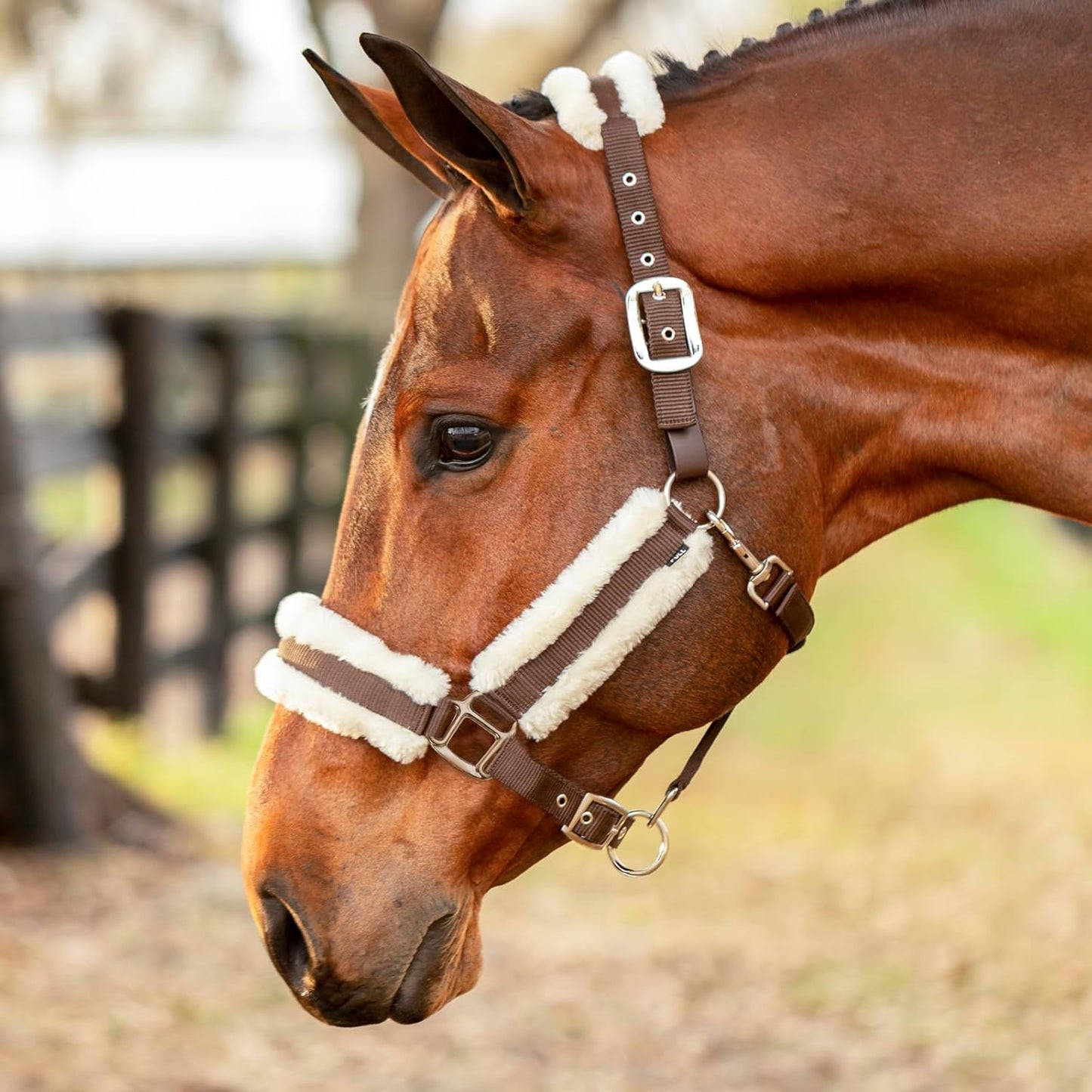 Equinavia Valkyrie Soft Ultra Fleece Padded Adjustable Breakaway Horse Halter - Brown/Ivory White - Horse