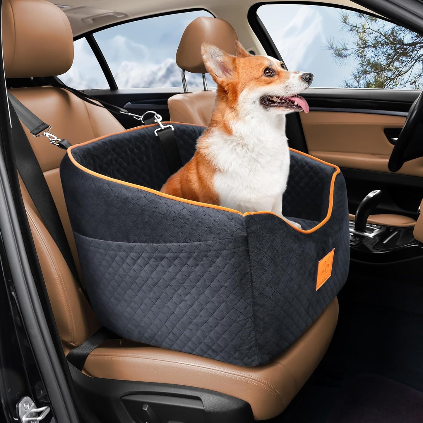 Dog Car Seat for Small Dogs, Memory Foam Booster Dog Seat for Dogs up to 35 lbs, Elevated Pet Car Seat with Washable Removable Cover, Storage Pockets (Black)