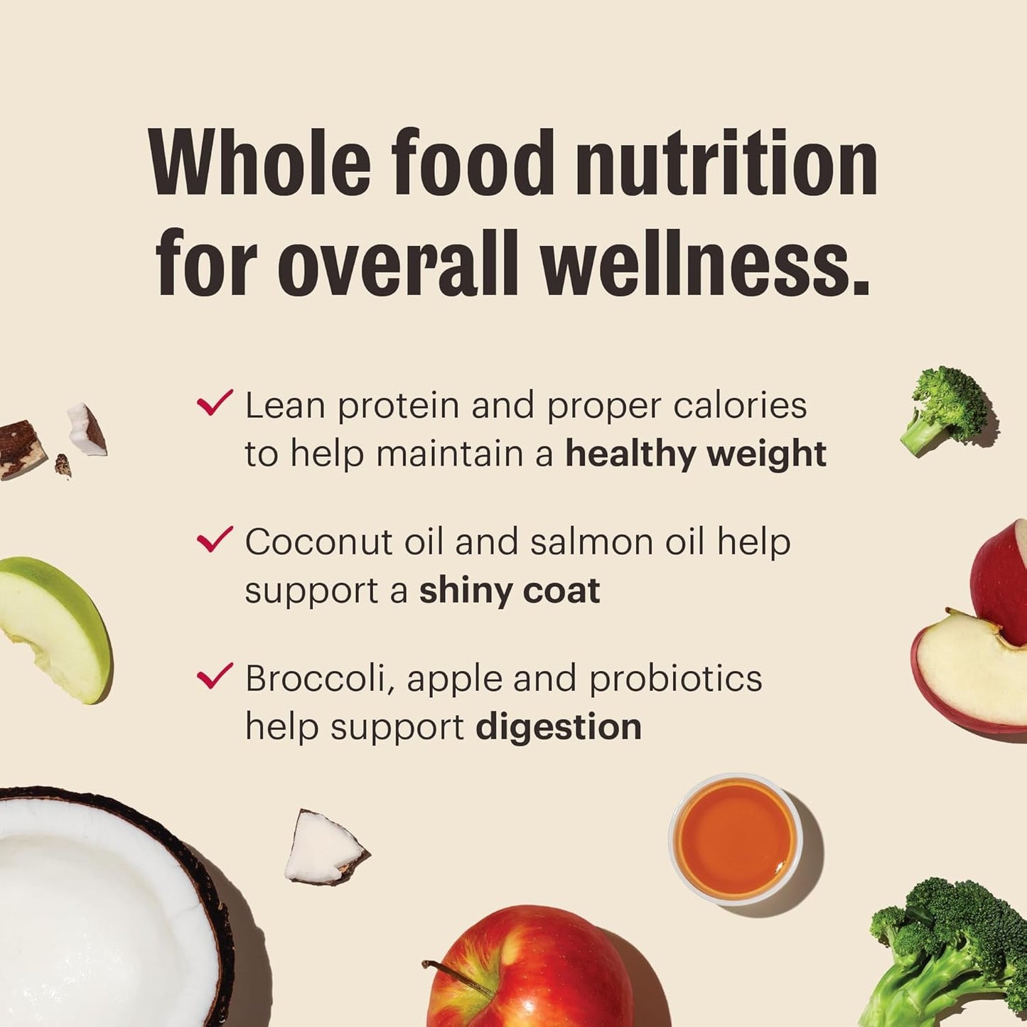 The Honest Kitchen Whole Food Clusters Small Breed Grain Free Beef Dry Dog Food, 4 lb Bag