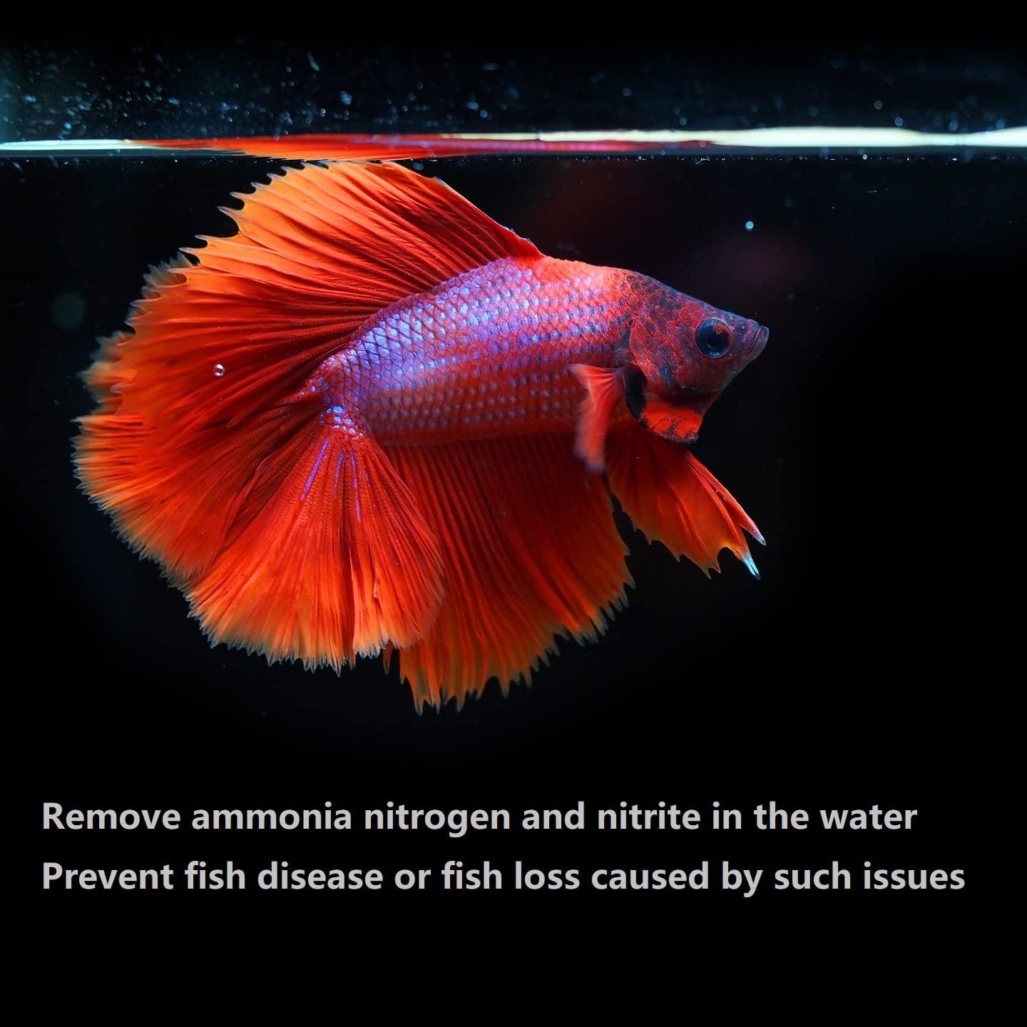 PuriResin Aquarium Filter Media, Organic Filtration Resin, for Freshwater and Saltwater Fish Tank, Removes Driftwood Tannins, 100 ml