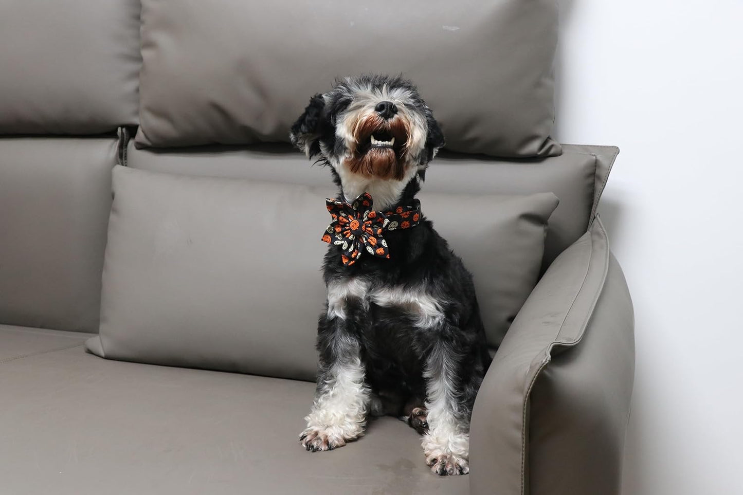 Lionet Paws Dog Collar with Flower - Cute Cotton Adjustable Flower Dog Collar with Metal Buckle for Large Dog Girl Gift, L, Neck 16-24in