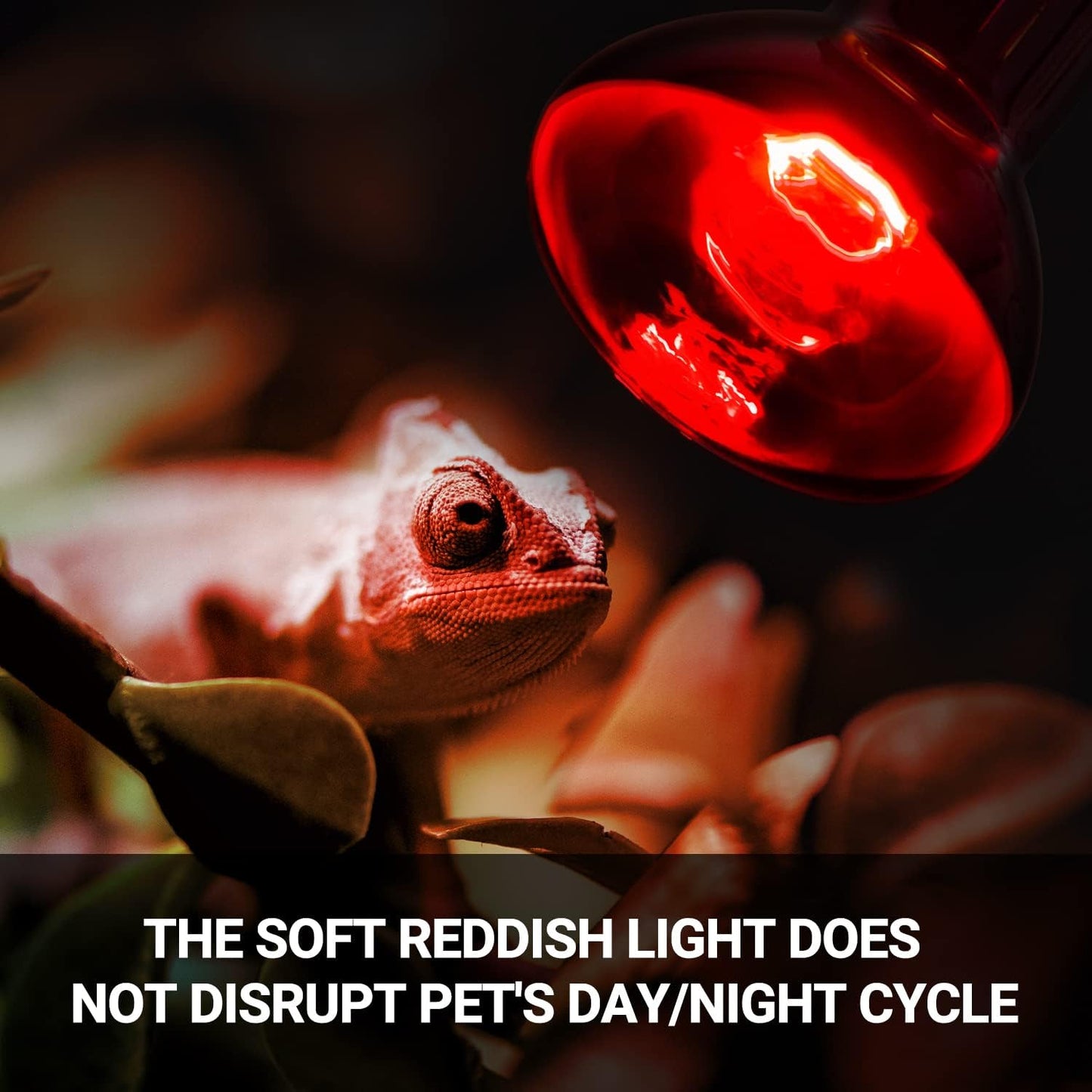 REPTI ZOO 75W Reptile Heat Lamp Bulb 2PCS Infrared Heat Emitter Red Heat Lamp for Reptile Amphibian, Infrared Basking Spot Light Bulb