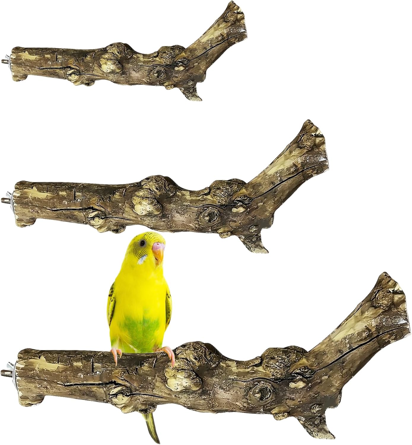 PINVNBY 3 Sizes Natural Bird Perches Wooden Parakeet Perches Bird Perches for Cage Parrot Chewing Stick Paw Grinding Exercise Training Bird Cage Accessories for Budgies Conures Cockatiels Lovebirds