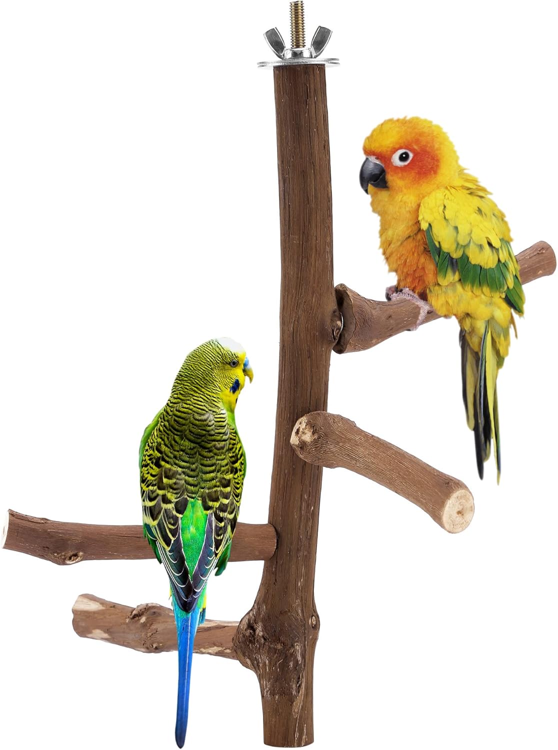 CozyCabin Natural Bird Perch Stand, Hanging Multi Branch Grapevine Parrot Perch Bird Cage Toys for Small Budgies Conure Parrot Parakeets Cockatiels Lovebirds (Branch)