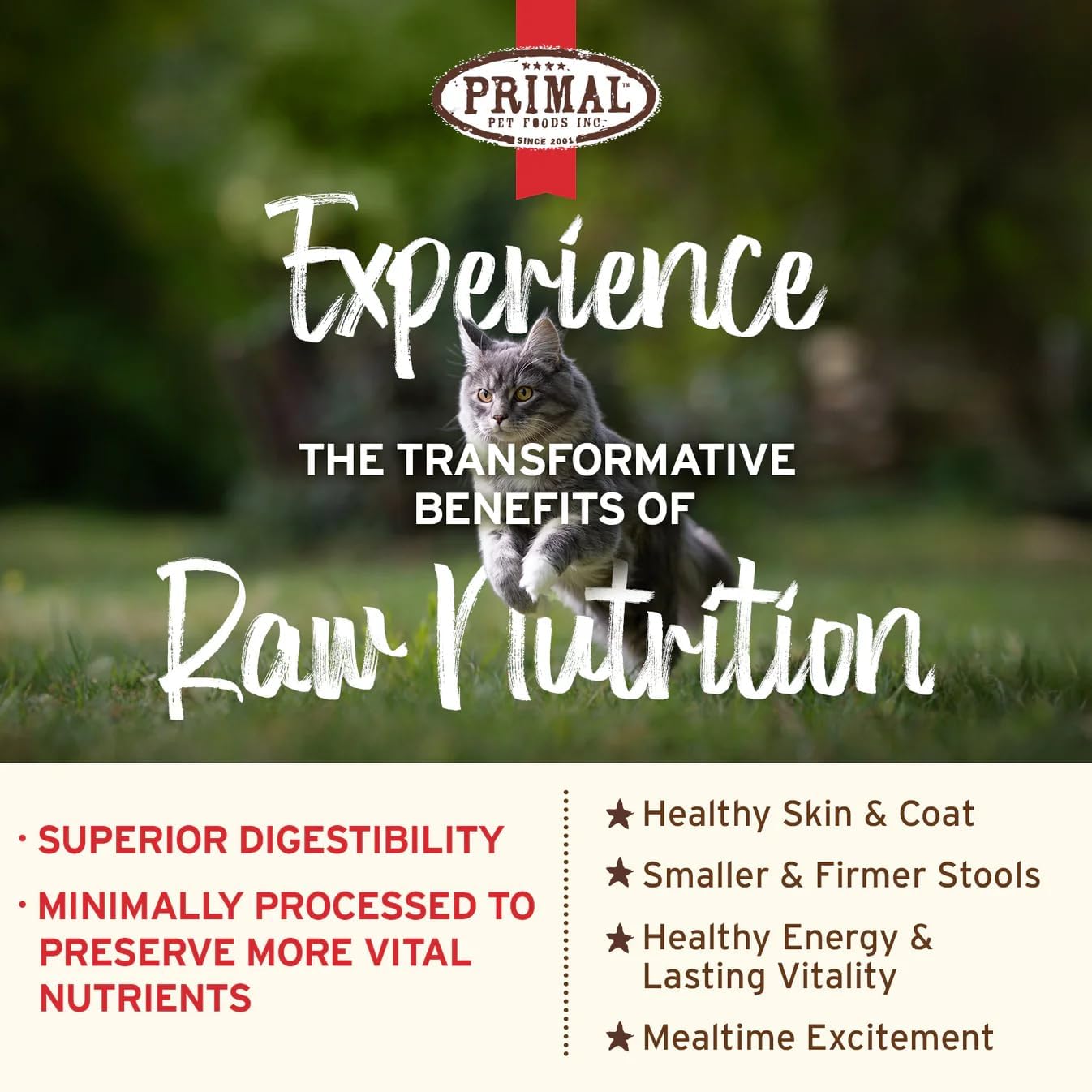 Primal Kibble in The Raw, Freeze Dried Cat Food, Beef, Scoop & Serve, Made with Raw Protein, Whole Ingredient Nutrition, Crafted in The USA, Dry Cat Food, 24 Ounce (1.5 lb) Bag