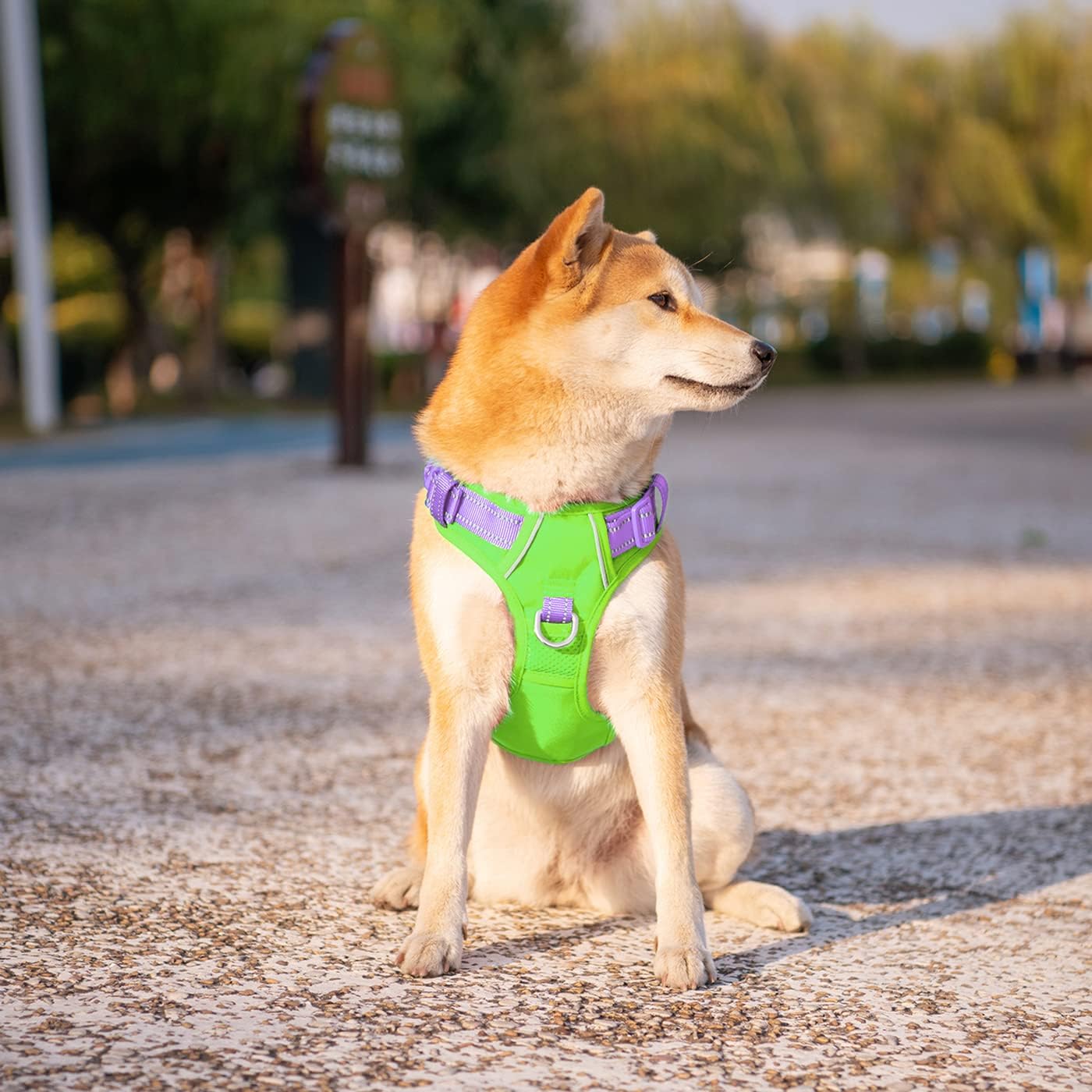 PHOEPET No Pull Dog Harness, Unique Colors Reflective Adjustable Dog Vest, with Soft Training Handle Metal Clips for Small Medium Large Dogs (Green Base & Purple Straps,S)