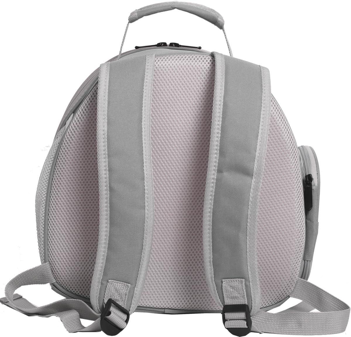 Lizard Travel Backpack Carrier,Small Animal Portable Backpack Carrier,Space Capsule Clear Bubble Window Travel Backpack for Bearded Dragon,Guinea Pig,Rabbit, Airline Approved (Grey, Backpack)