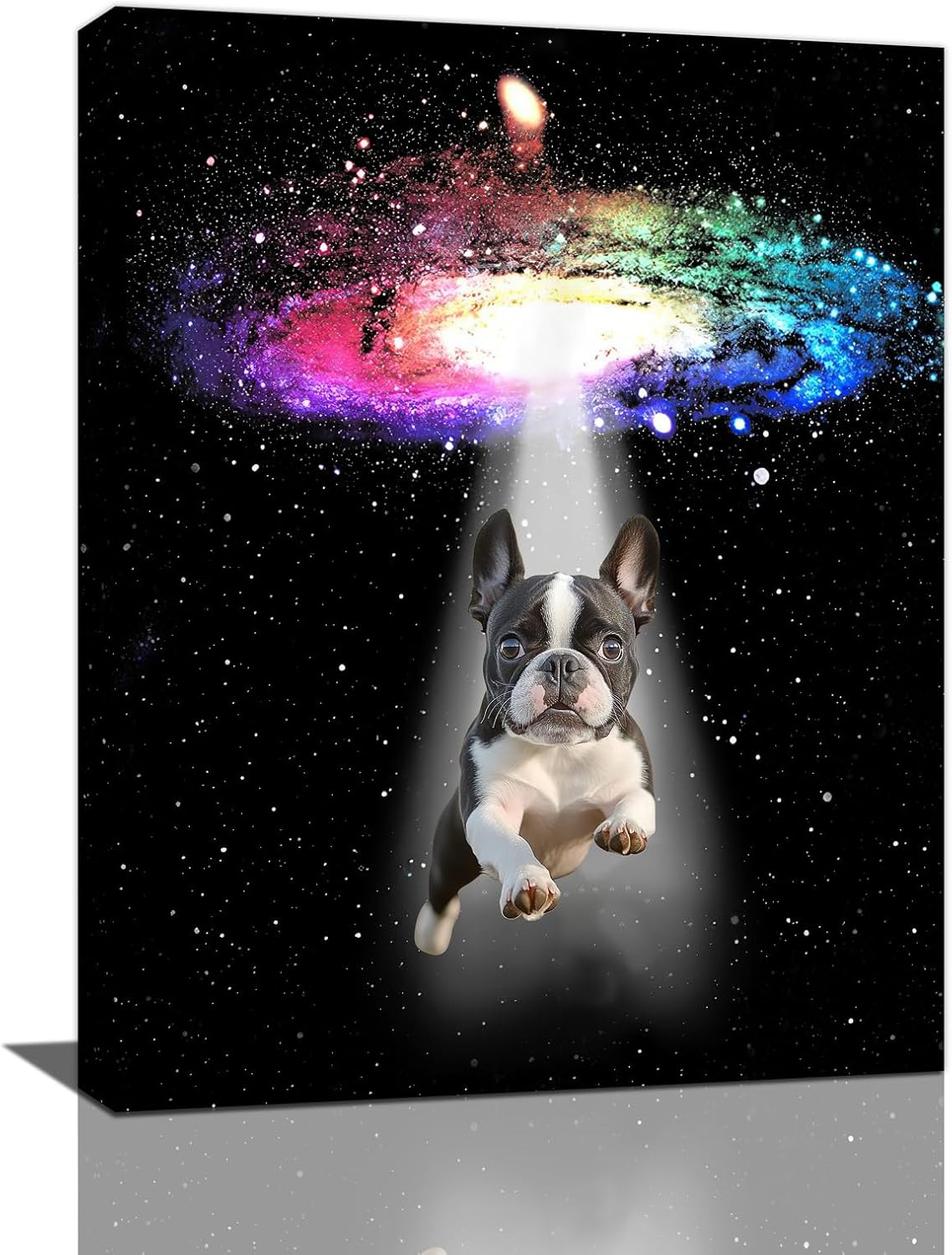 Funny Dog Wall Art Canvas Boston Terrier Wall Decor Prints Framed Painting Bulldog Galaxy Pictures Gifts Artwork for Bathroom 16"x20"