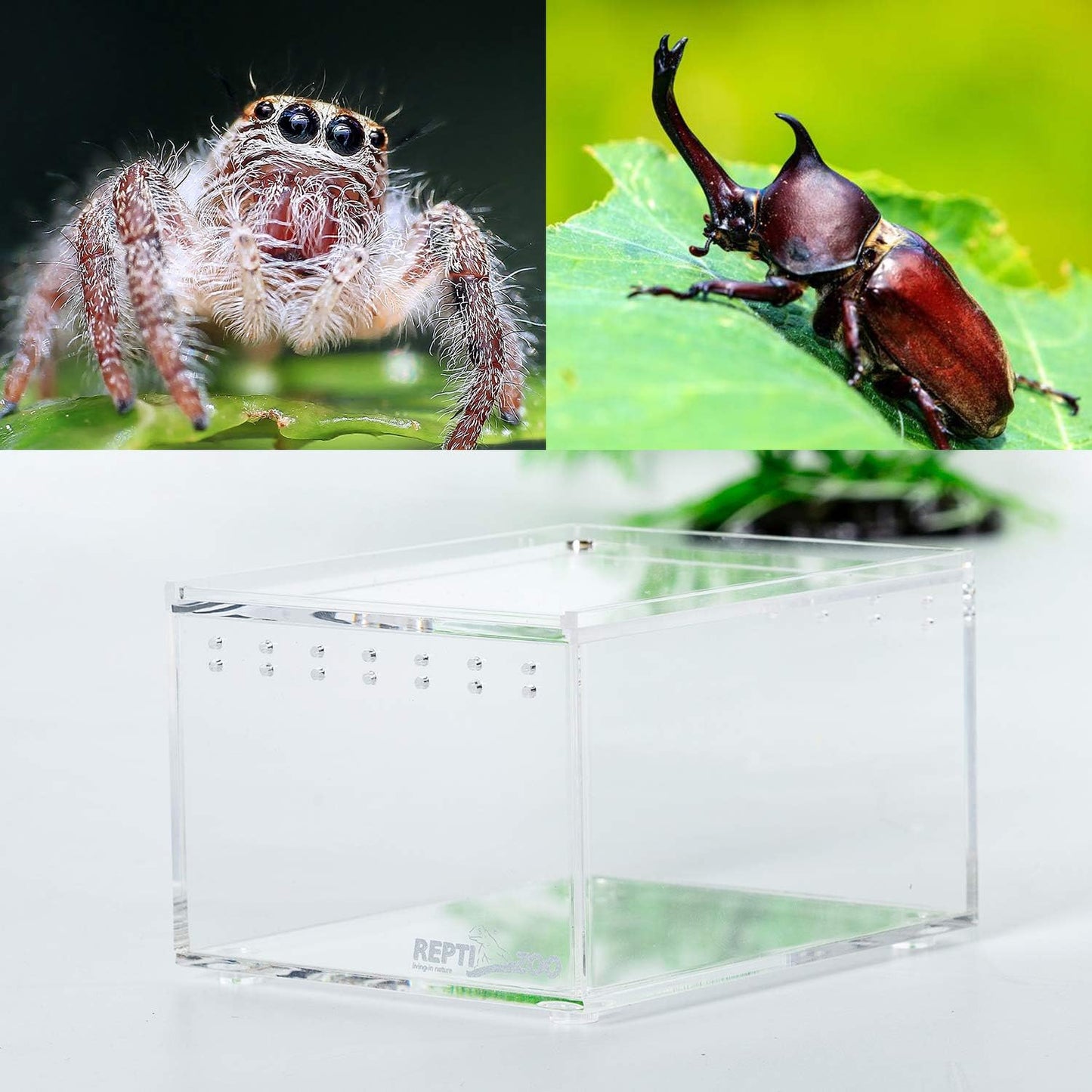 REPTI ZOO Magnetic Acrylic Case 4.1"x3.3"x2.5" Nano Enclosure Reptile Breeding Box Terrarium Cage Tank Tarantula Scorpion Sling Isopods Lizards Roach Invertebrates Insect Mantis
