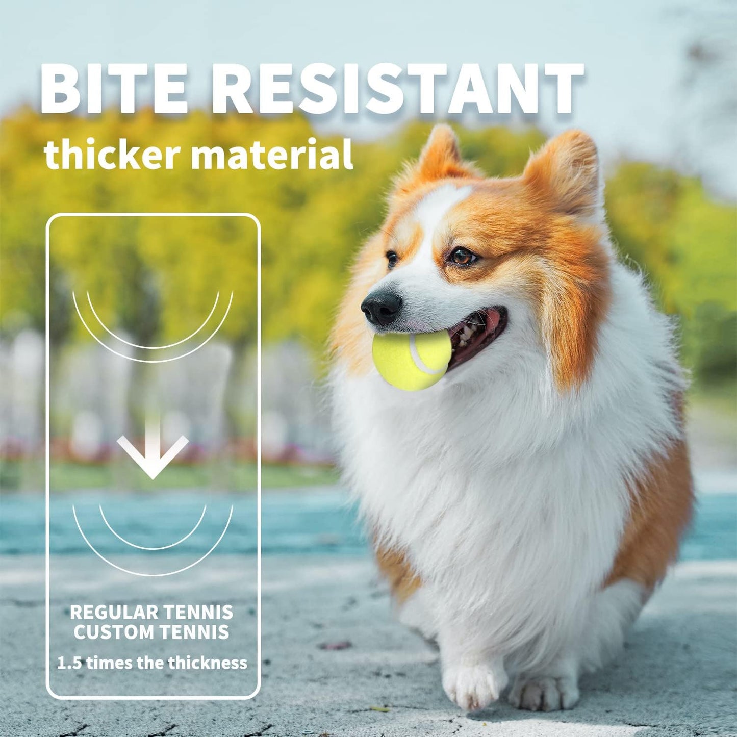 ALL FOR PAWS Interactive Super Bounce Tennis Balls Dog Toy, Pet Safe Toys for Exercise and Training, 2.5 Inch Diameter (6 Pack)