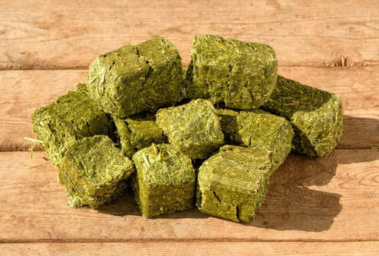 CZ Grain Alfalfa Cubes for Feeding - Rabbits, Goats, Chickens, Cattle, Horses, All Animals Love Alfalfa Cubes (10 Pounds)