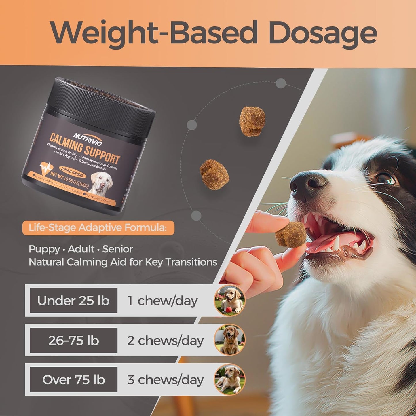 Calming Chews for Dogs with Melatonin Dog Calming Treats - Anxiety and Stress Relief Treats Melatonin Bites Sleep Aid for Small/Medium/Large Dogs Chicken Flavor-300g