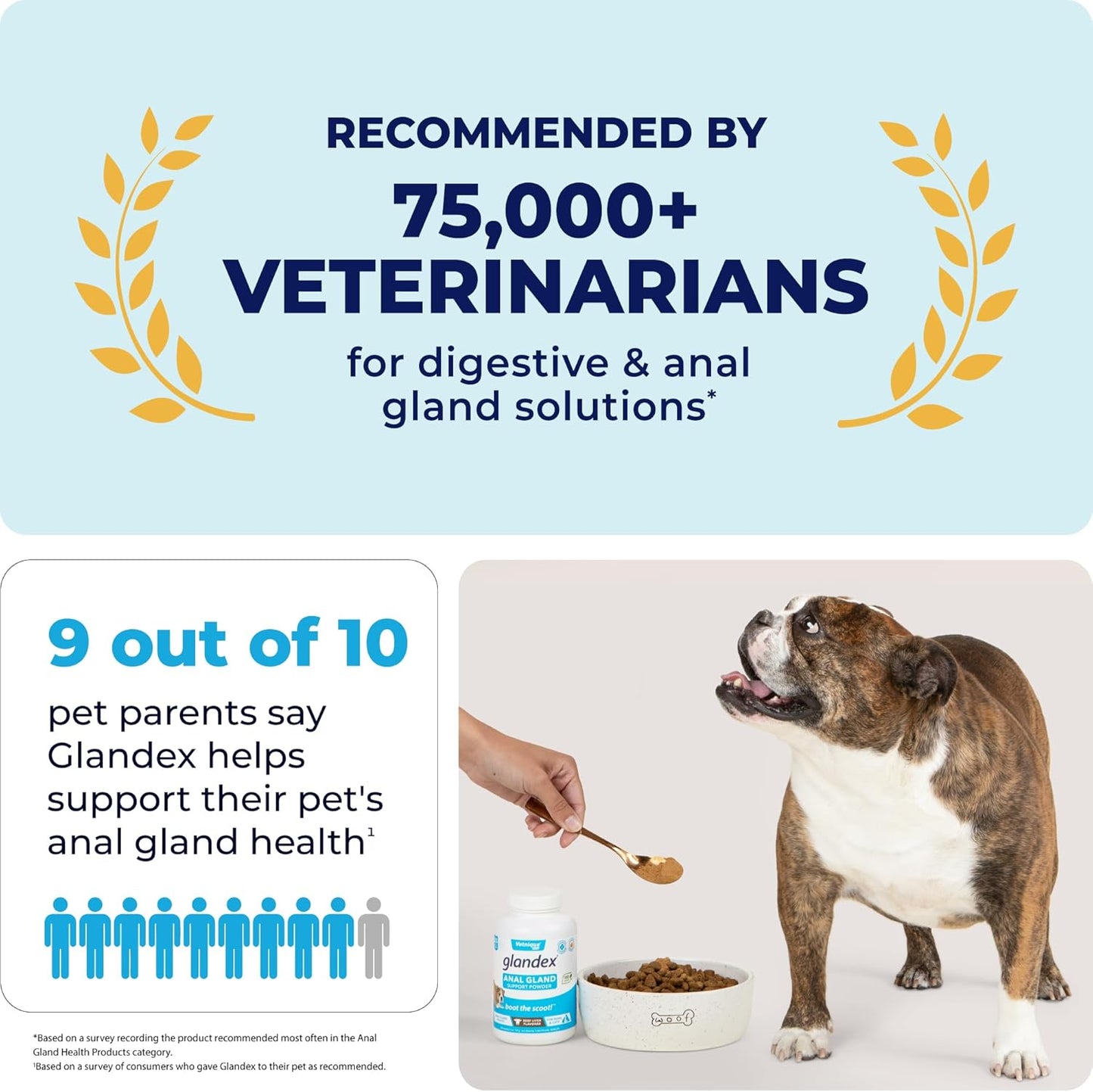 Vetnique Labs Glandex Dog Fiber Supplement Powder for Anal Glands with Pumpkin, Digestive Enzymes & Dog Probiotics for Digestive Health - Vet Recommended - Boot The Scoot (Pork Liver, 4.0oz Powder)