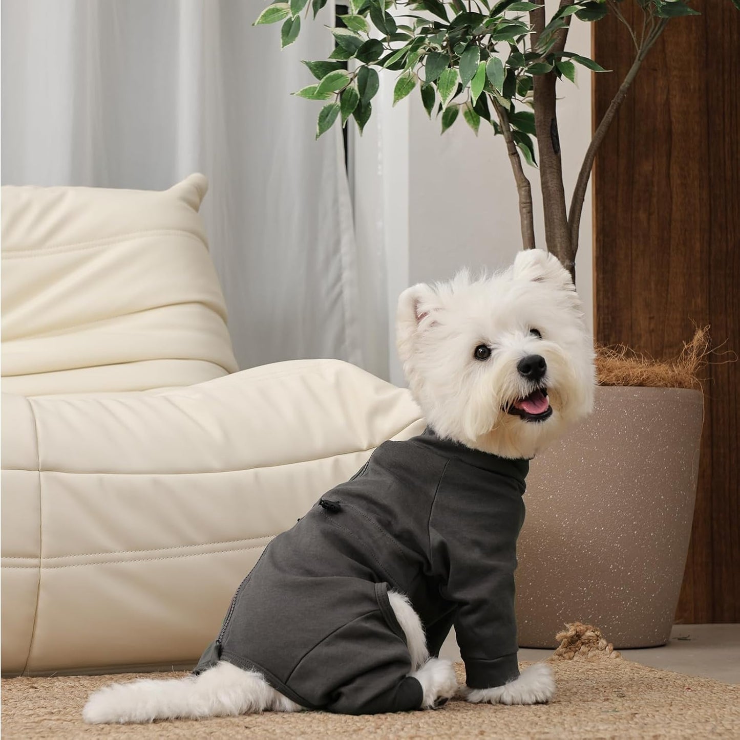 Medium Dog Pajamas with Back Zipper & Adjustable Drawstrings, Soft Dog Onesie Pjs, Easy On/Off Comfy Anti-Licking Dogs Outfits Jammies Shedding Suits, Beagle, Springer Spaniel, Grey L