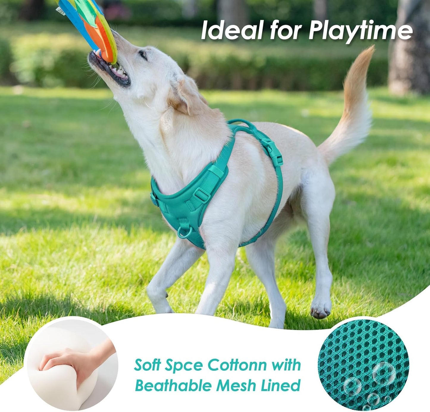 No Pull Dog Harness, Puppy Vest with Front Clip for Small Medium Large Sized Dog(MARRS Green,M)