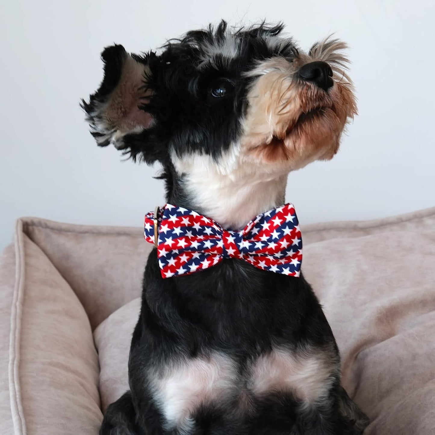 Lionet Paws Patriotic Dog and Cat Collar with Bowtie, 4th of July, Soft and Comfortable, Adjustable Collar for Puppies and Cats, Neck 7-11 inches