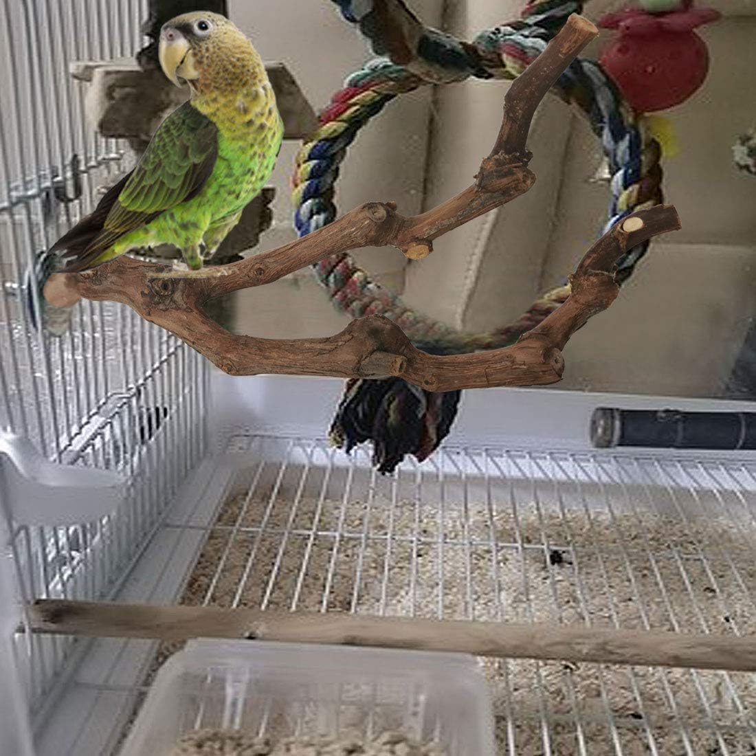 kathson Natural Parrot Perch Bird Stand Pole Wild Grape Stick Paw Grinding Fork Parakeet Climbing Standing Branches Toy Chewable Cage Accessories for Small Budgies Cockatiels Lovebirds