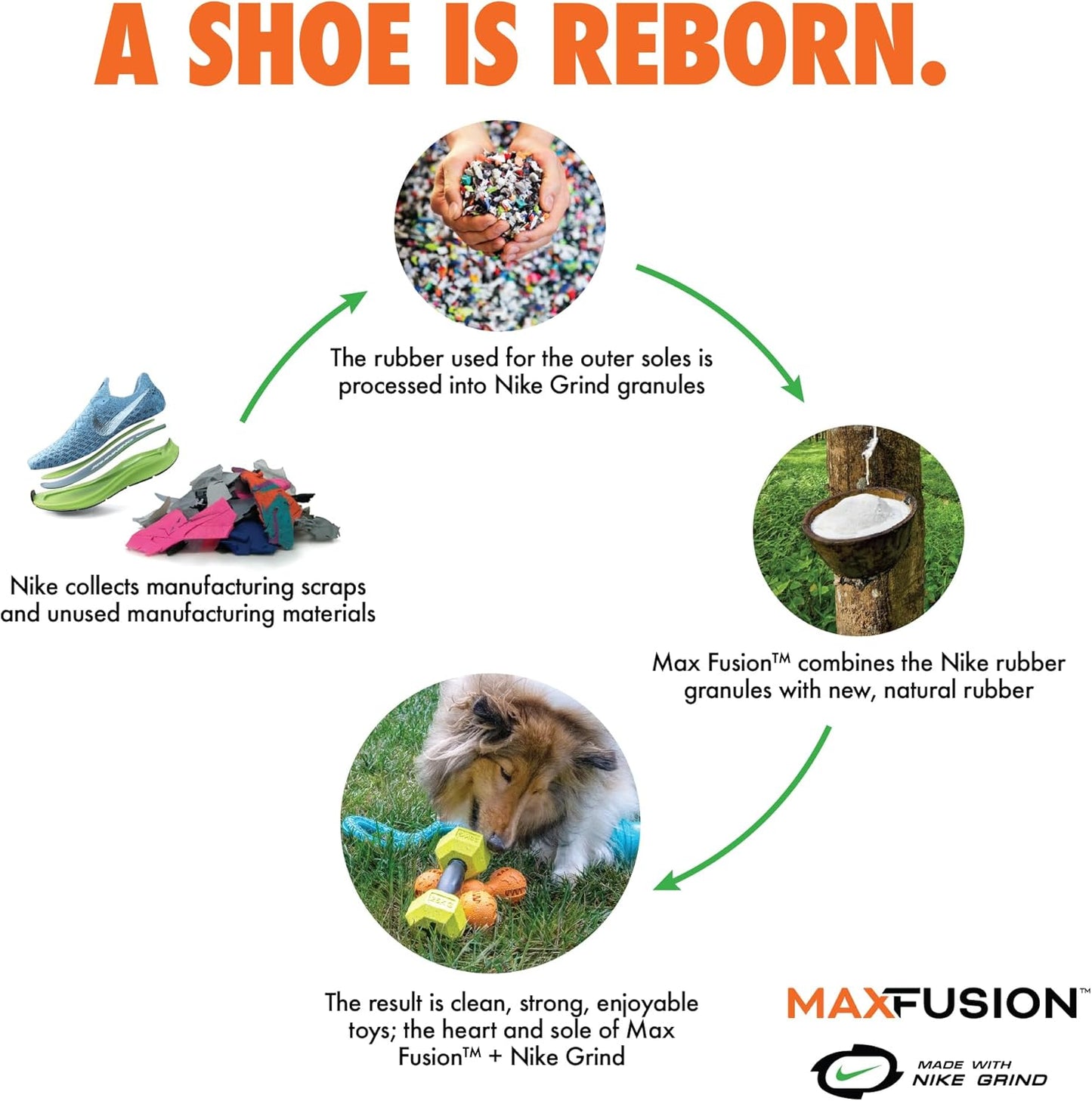 Max Fusion with Nike Grind, Arlee Spike Bone Dog Toy, Chew Toy for Play, Fetch, Tug, L