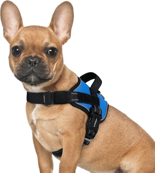 rabbitgoo Dog Harness for Small, Easy On Pet Vest with One Buckle, No Pull Adjustable Service Harness with D-Ring & Handle, Reflective for Safety Walking, Training, Blue, S