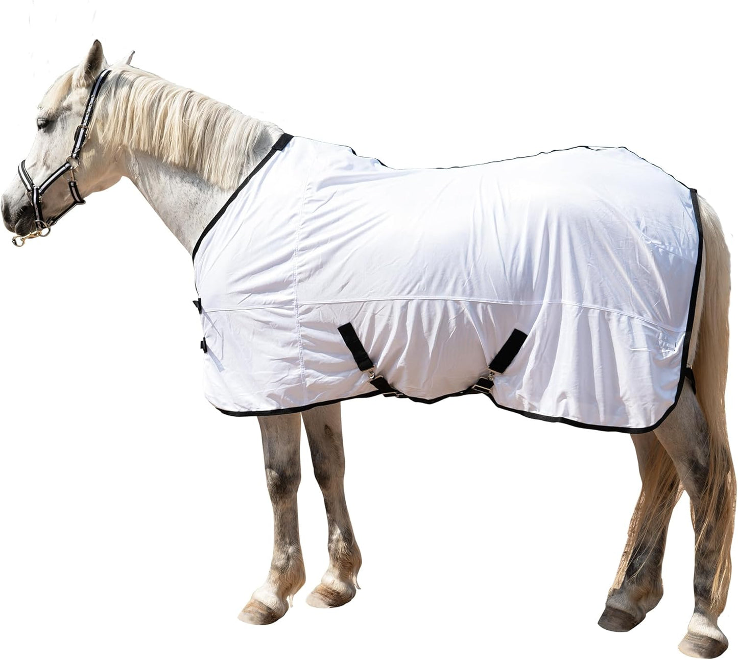 Horse Fly Sheet Equine Summer Sheets, Comfy Mesh Bug and Mosquito Protection Standard Neck - White 72"