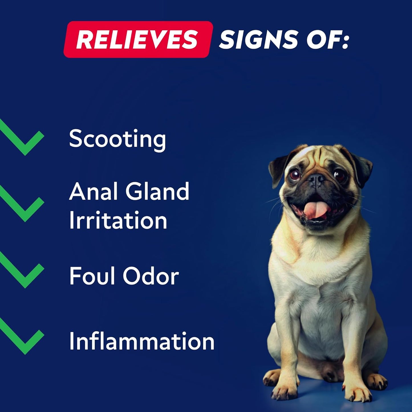 STRELLALAB Anal Gland Support Chews - Scoot Treatment - Digestive Enzymes, Prebiotics & Fiber Supplement for Dogs Digestion & Gut Health. Proprietary Blend of Beet, Psyllium, Dandelion & Pumpkin 120Ct