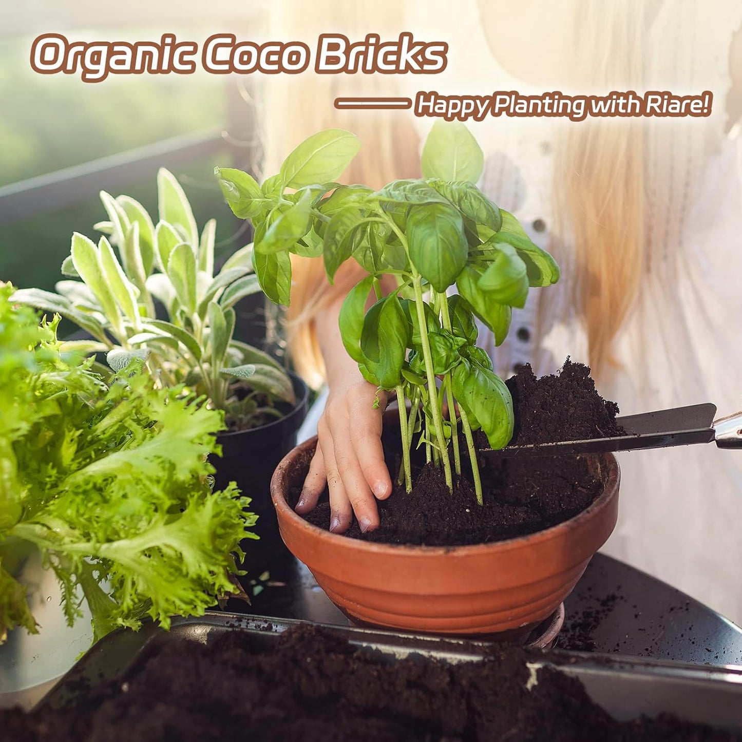 Riare 10pcs Organic Coco Coir Bricks Soil Blocks- 100% Natural Compressed Coco Peat Brick Coconut Fiber Substrate with Low EC& pH Balance, High Expansion Coco Coir Pith Coconut Husk for Garden