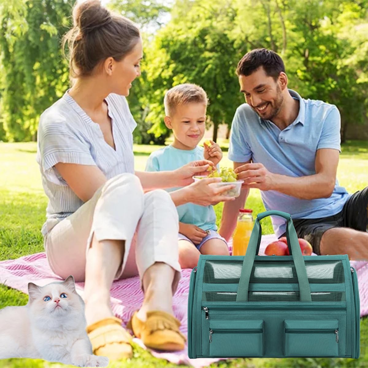 Cat Carrier Bag,Soft Sided Ventilated Pet Carrier for Small Dog Airline Approved Travel Puppy Carrier with Breathable Mesh, Foldable Portable for Outdoor Car