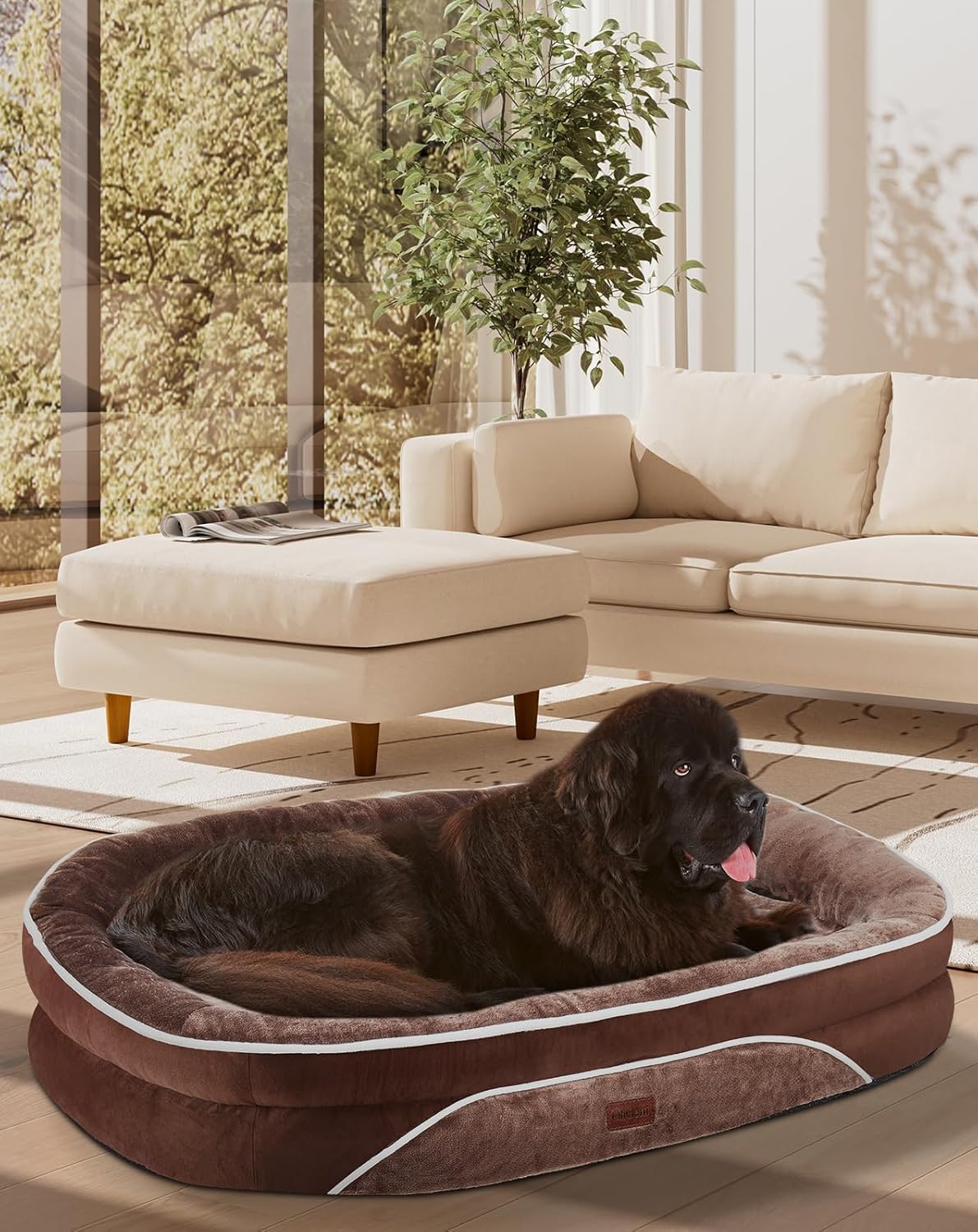 OhGeni Orthopedic Jumbo Dog Couch Pet Sofa XXL Sized Cat Beds with Comfort Foam Support, Soft Comfortable Fabric, Machine Washable Waterproof Removable Cover, 48-Inch (Brown)