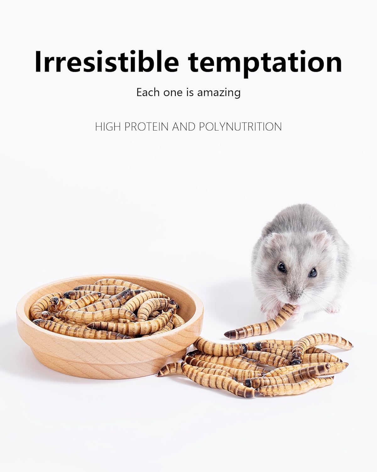 Niteangel Small Animal Snack & Treats - Small Critter Natural Treat for Dwarf Syrian Hamsters Gerbils Mice Sugar Glider Hedgehogs Chickens Birds (Freeze-Dried Worms- 1.4oz (40g))