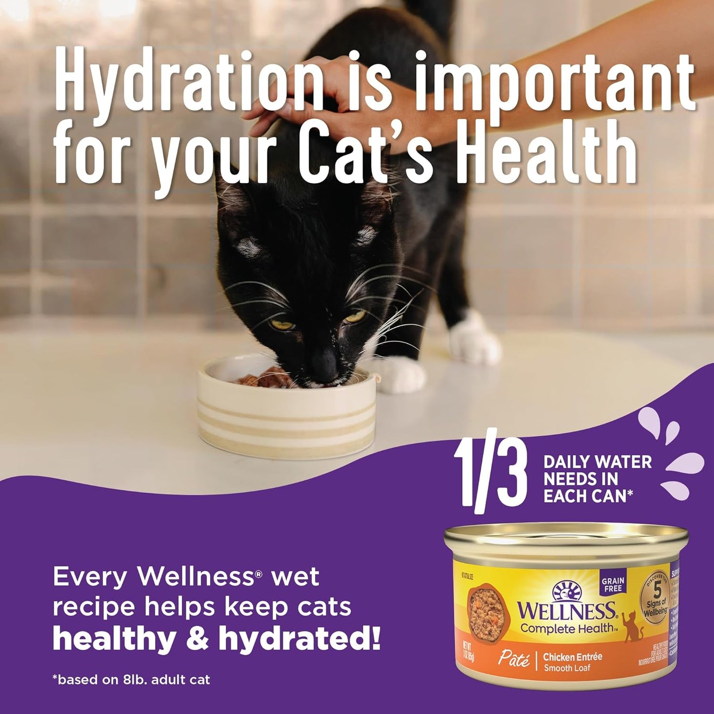 Wellness Complete Health Minced Adult Wet Cat Food, Natural, Protein-Rich, Grain Free, 3 Ounce, 24 Pack, (Tuna Entrée)