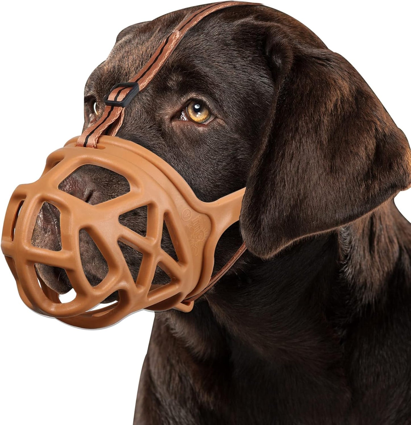 BARKLESS Dog Muzzle, Basket Muzzle for Biting, Chewing and Scavenging, Humane Cage Mouth Cover, Perfect for Grooming and Training Large Aggressive Reactive Dogs (L, Brown)