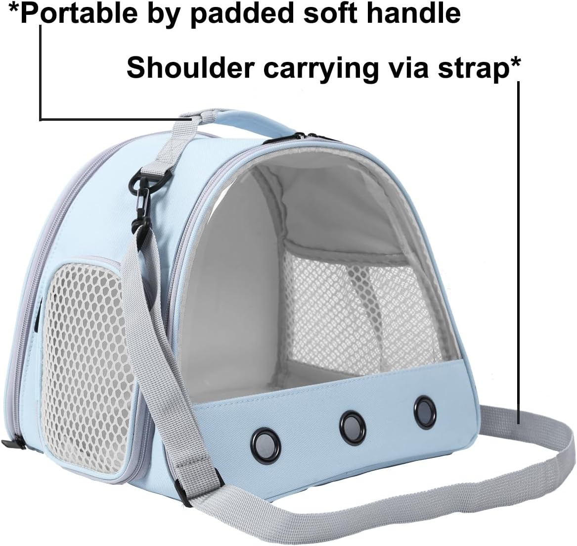 Bearded Dragon & Lizard Carrier - Portable Travel Carrier for Hedgehog, Rat, Parrot, Bird & Guinea Pig (Blue, 2)