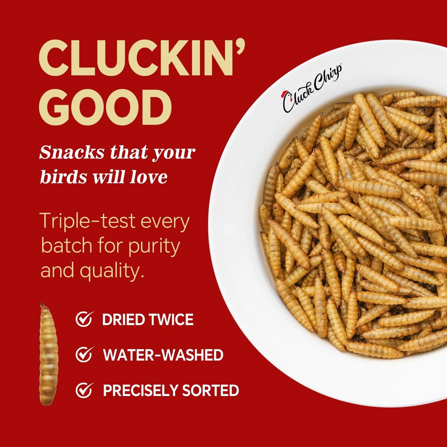 Dried Black Soldier Fly Larvae, Non-GMO, Natural Chicken Treats & High-Protein Poultry Snacks for Backyard Chickens, Laying Hens & Ducks, 10 lb Box