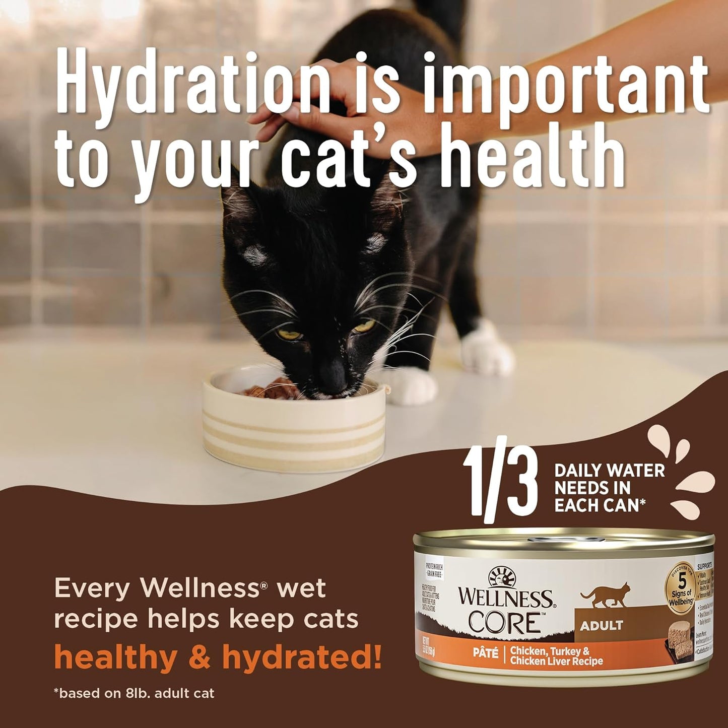 Wellness CORE+ Digestive Health Pate Adult Wet Cat Food, Natural, Protein-Rich, Grain Free, 3 Ounce, 12 Pack (Whitefish)
