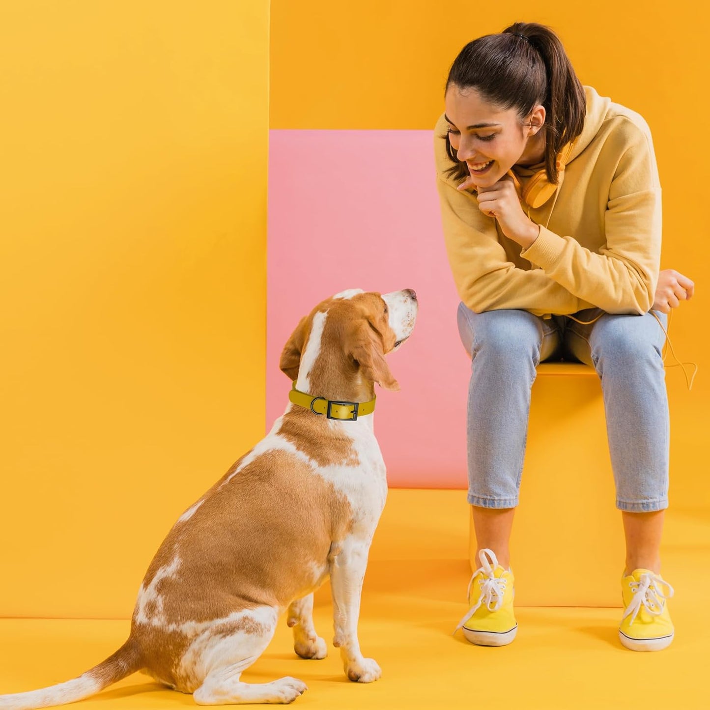 Dogline Biothane Waterproof Dog Collar Strong Coated Nylon Webbing with Black Hardware Odor- Proof for Easy Care Easy to Clean High Performance Fits Small Medium or Large Dogs, Treasure Gold