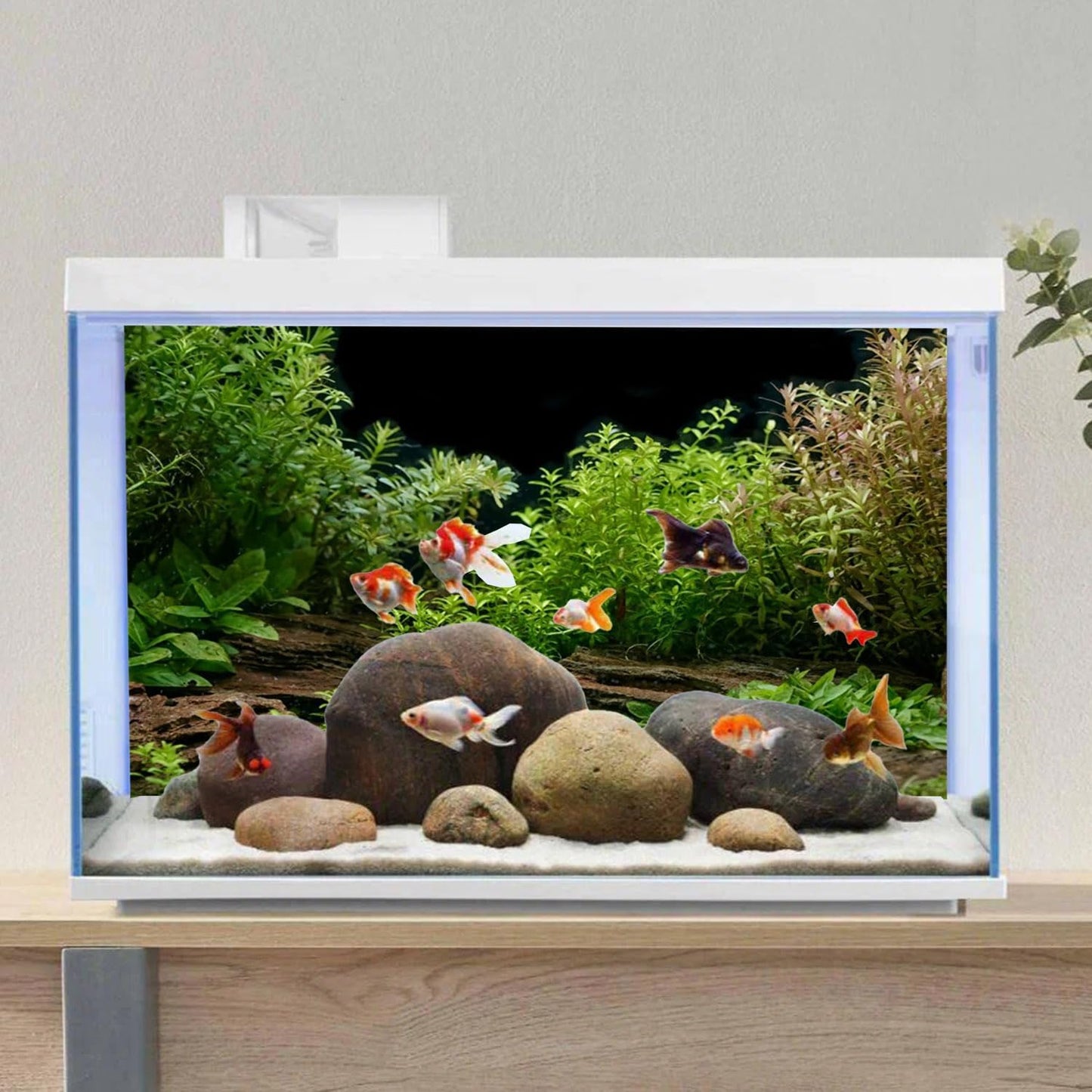 AWERT Aquarium Background River Bed & Lake Aquatic Plant Fish Tank Background Vinyl 36x20 inches