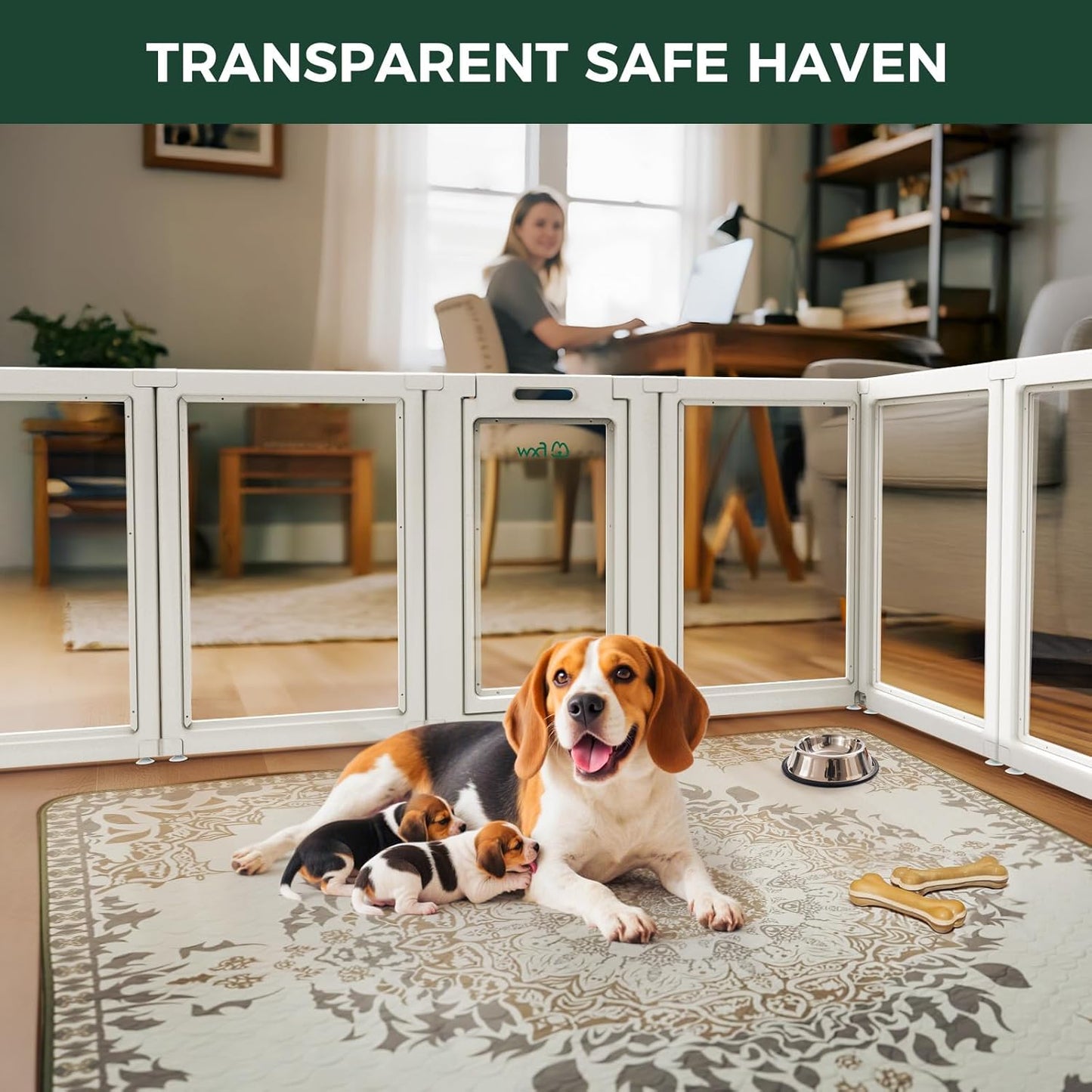 FXW AuraSpace Acrylic Indoor Unleashed Dog Playpen for Medium Dogs, 35 Inch, 16 Panels, White