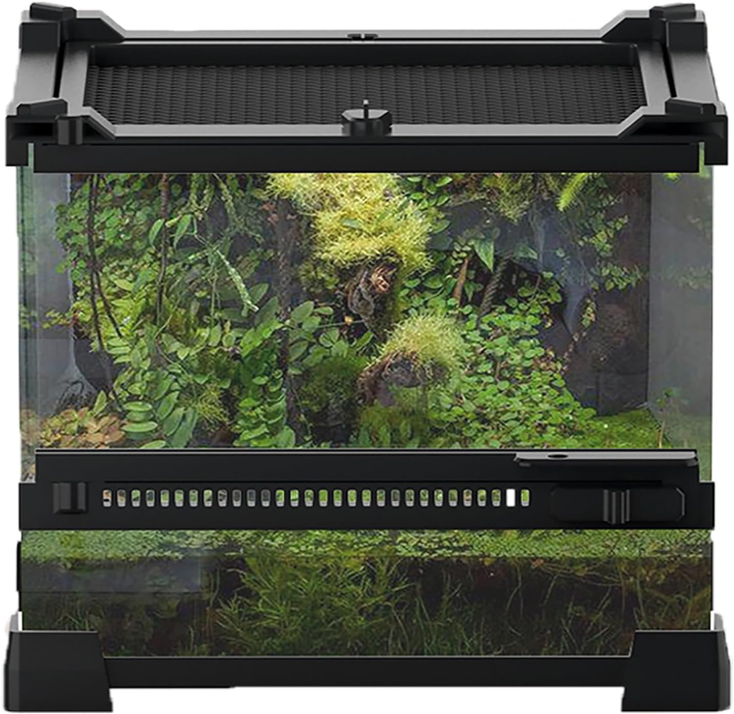 Woyrise Reptile Glass Terrarium Tank 8"x8"x5.7", Front & Top Opening Door Full View Visually Appealing Mini Reptiles or Amphibians Habitat, Stackable Enclousure for Small Reptiles