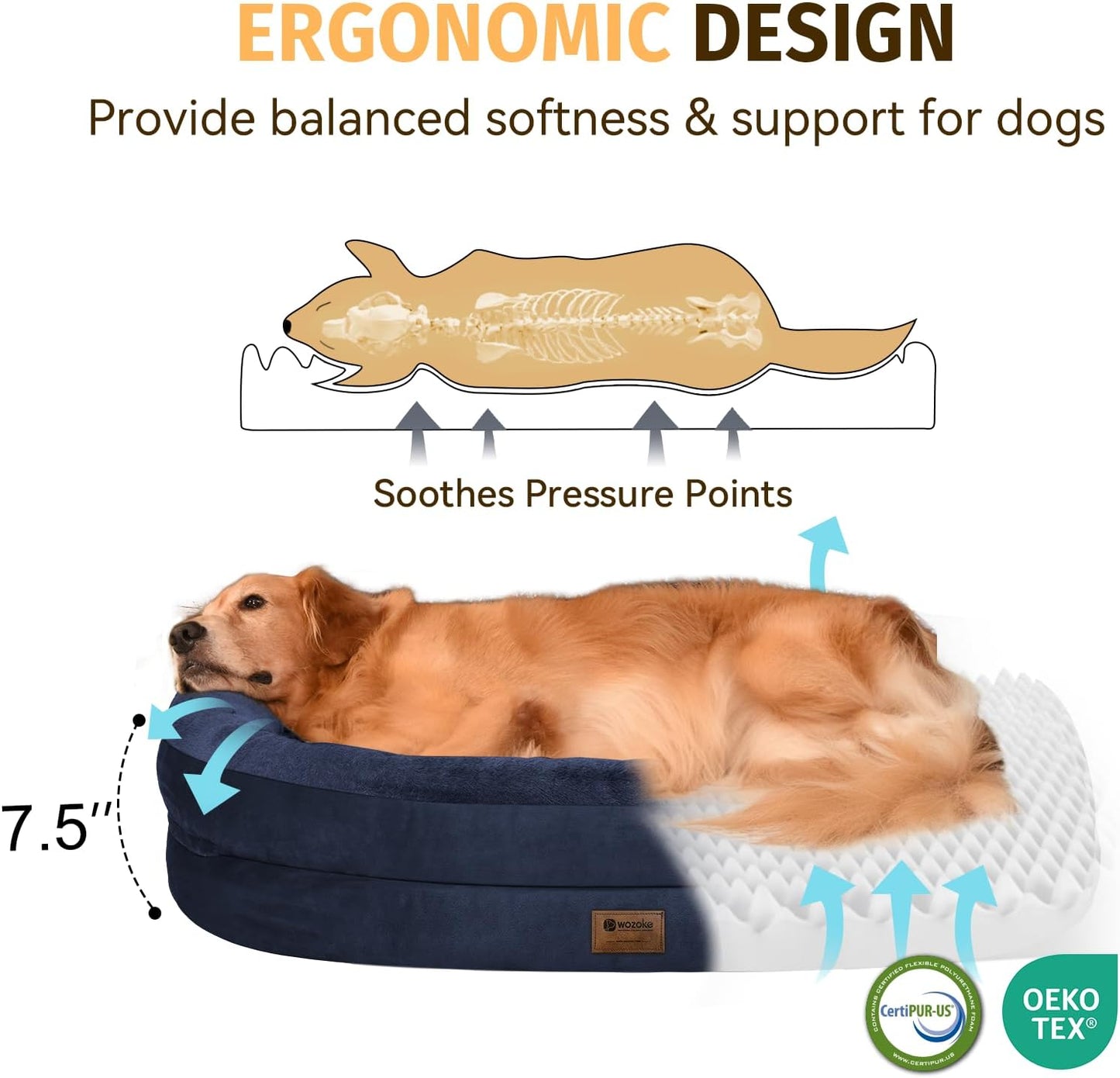 Orthopedic Waterproof Large Dog Bed: Memory Foam Washable Dog Bed with Bolsters - XL Removable Washable Cover for Medium Large Sized Pet - Non-Slip Bottom - Navy