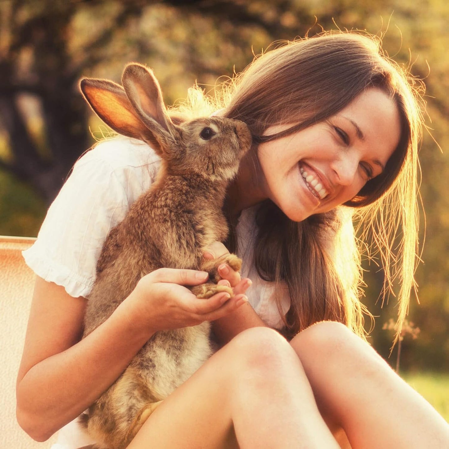 Digestive Support, Papaya by Sherwood Pet Health (100 Tablets - 60 Grams). Contains Natural Motility Herbs That Regulate The Digestive Tract, Improve The Gut microbiome and Stimulate The Appetite.