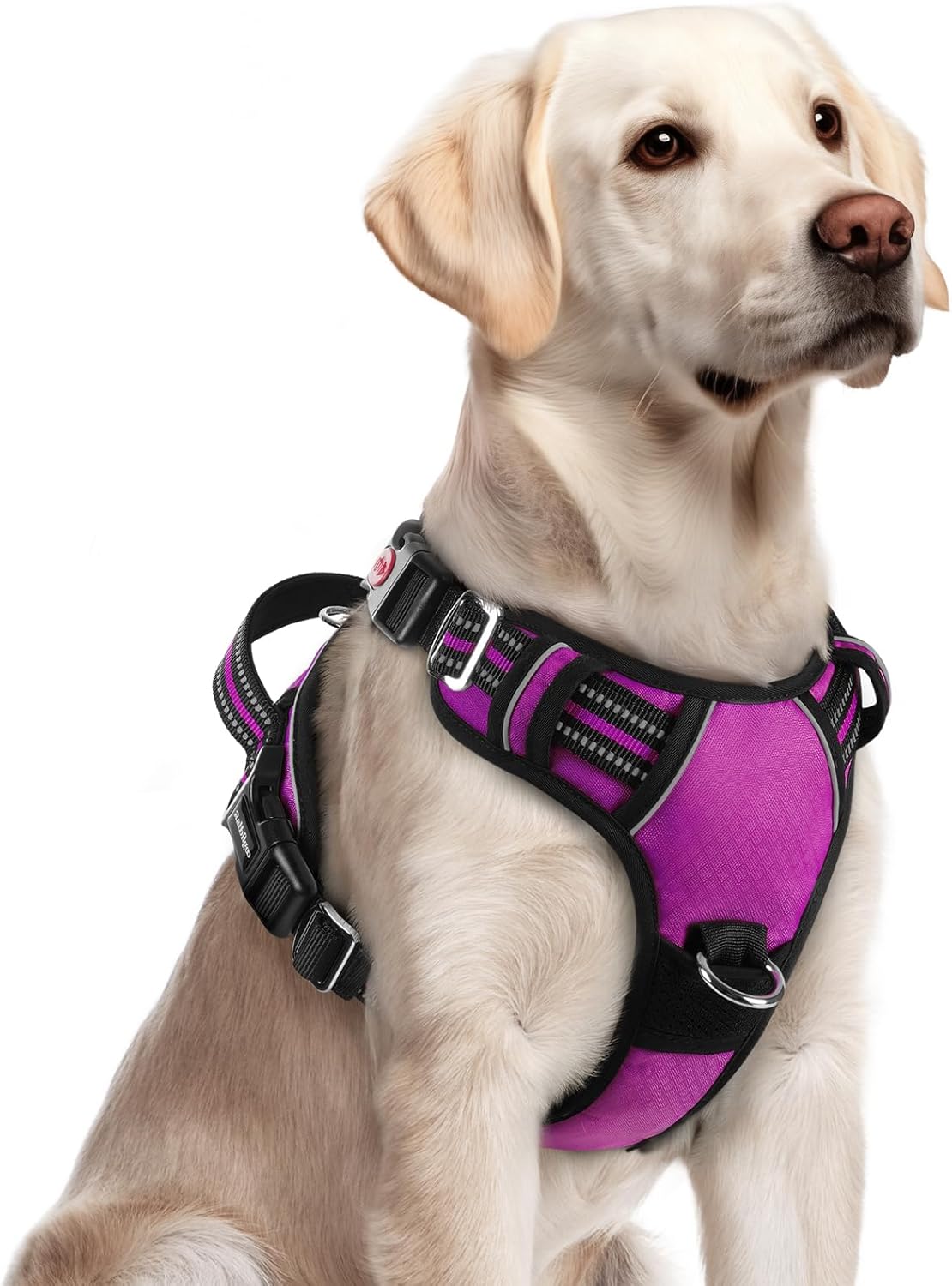 rabbitgoo Dog Harness for Large Dogs, No Pull Pet Vest with 3 Buckles, Adjustable Soft Padded Pet Harness with Easy Control Handle and Reflective Strips, Purple, L