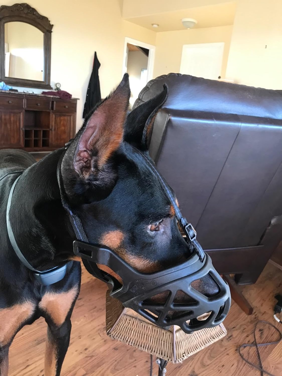 Mayerzon Dog Muzzle, Breathable Basket Muzzles for Small, Medium, Large and X-Large Aggressive Dogs Beagle German Shepherd Doberman, Cage Mouth Guard Stop Biting Chewing for Grooming Training