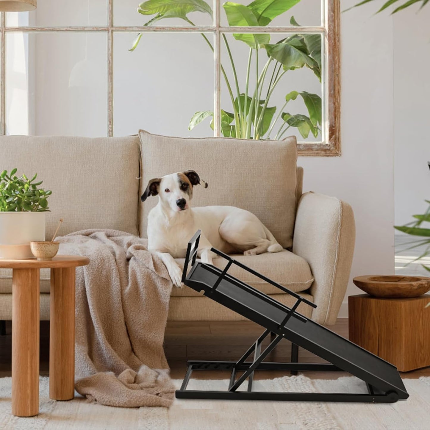 Dog Ramp, 5 Level Adjustable Height Folding Pet Ramp for High Bed, Portable Paw Ramps Large Bed Ramp for Medium & Large Old Dogs & Cats - Natural Wood Furniture Quality