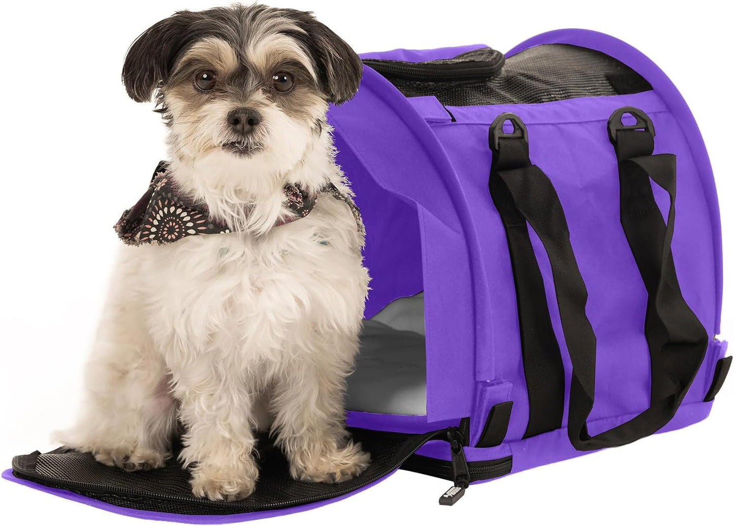 SturdiBag Pro 2.0 Pet Travel Carrier for Cats and Dogs | Soft Sided Pet Carrier Bag with Safety Clips and Seatbelt Straps for Airplane or Car Travel | Cube, Purple