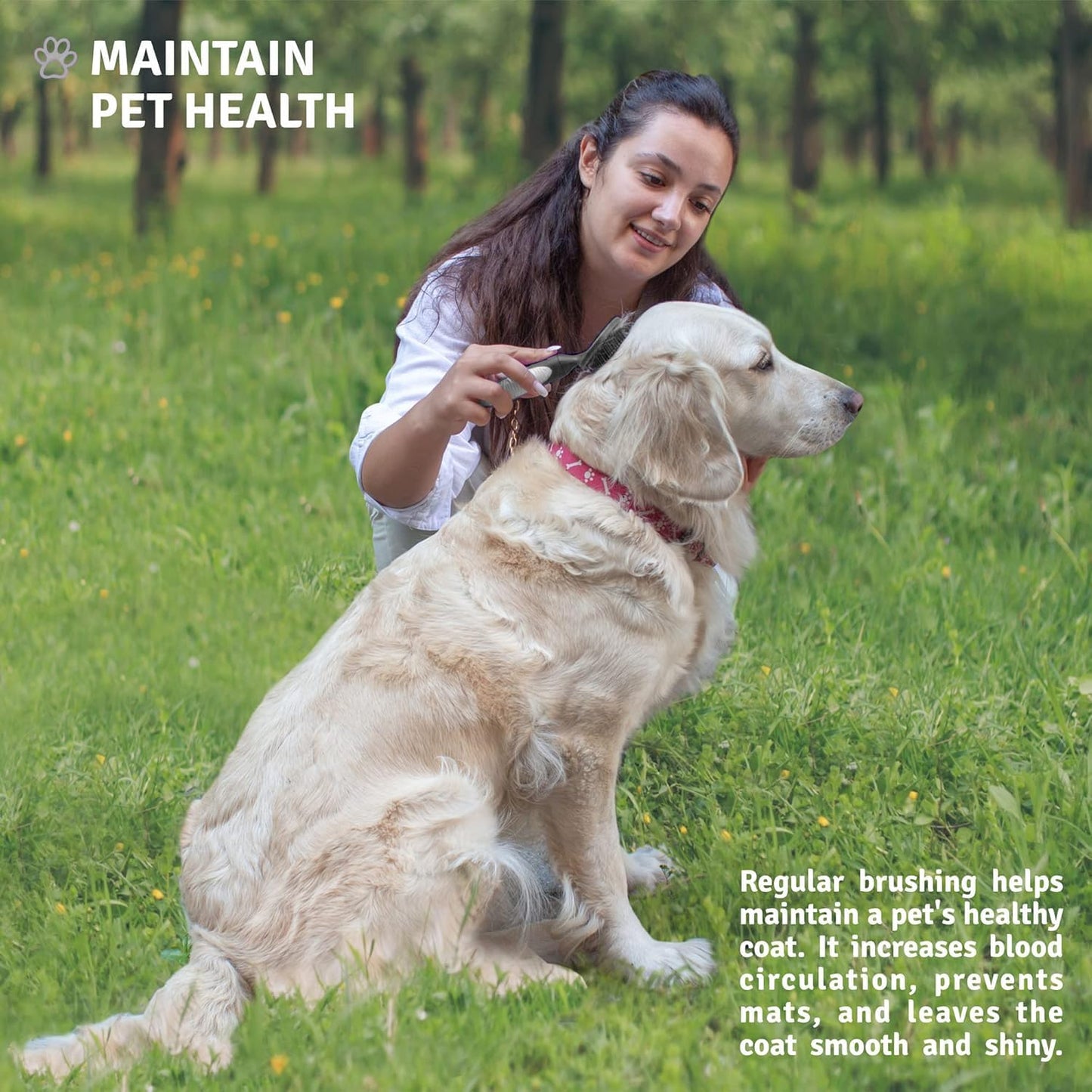 Round Bristle Pet Brush for Dogs and Cats - Soft Dog Brush for Grooming Short or Long Hair - Gentle Tool for Sensitive Skin Removes Dander, Dirt, and Detangles (Black)