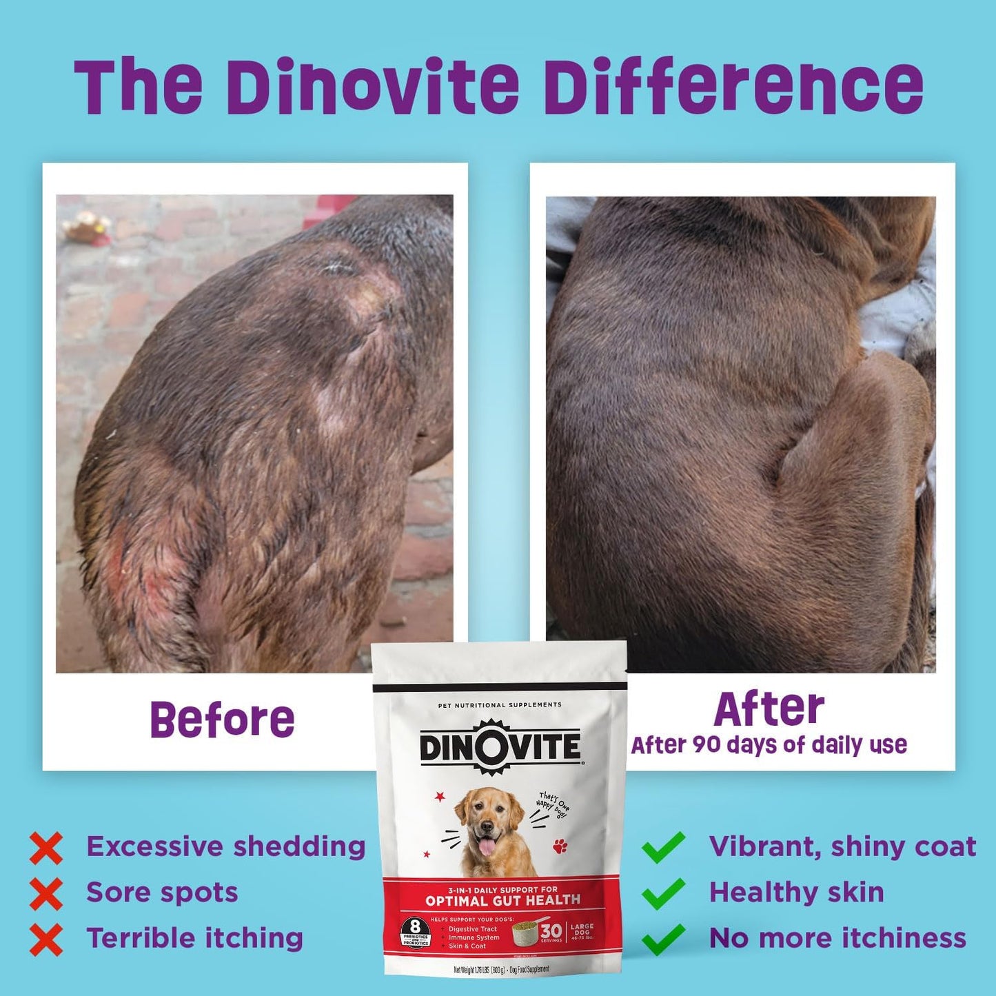 Dinovite Probiotic Supplement for Dogs - Omega 3 - Hot Spot Relief - Skin & Coat Supplement - 30 Day Supply (30 Day Supply, Large Dogs (45+ lbs))