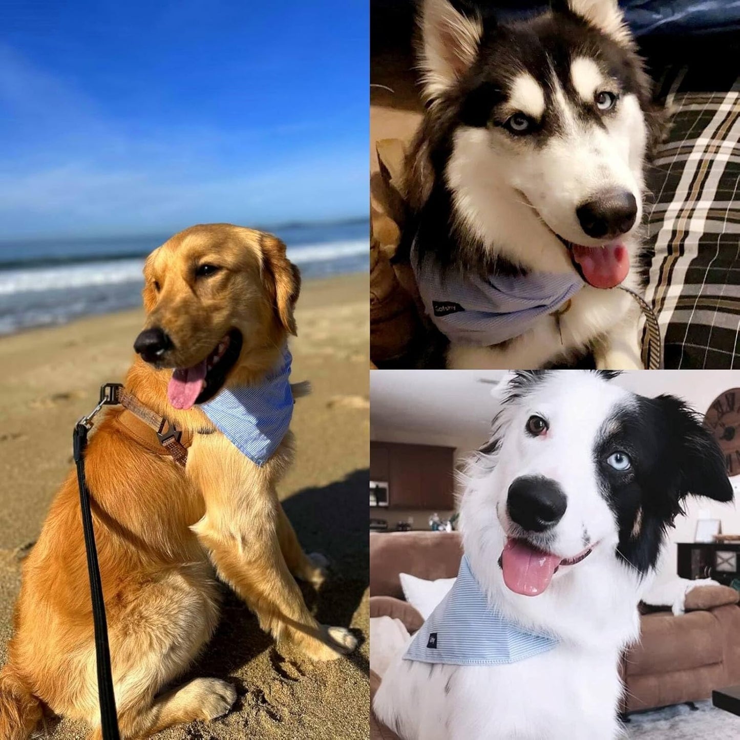 Small Dog Bandanas-5PCS DIY Bandanas Green Orange Pink Blue Gray Dog Scarfs Breed Bib Handkerchief for Small XS Dogs Puppies Pets Cats