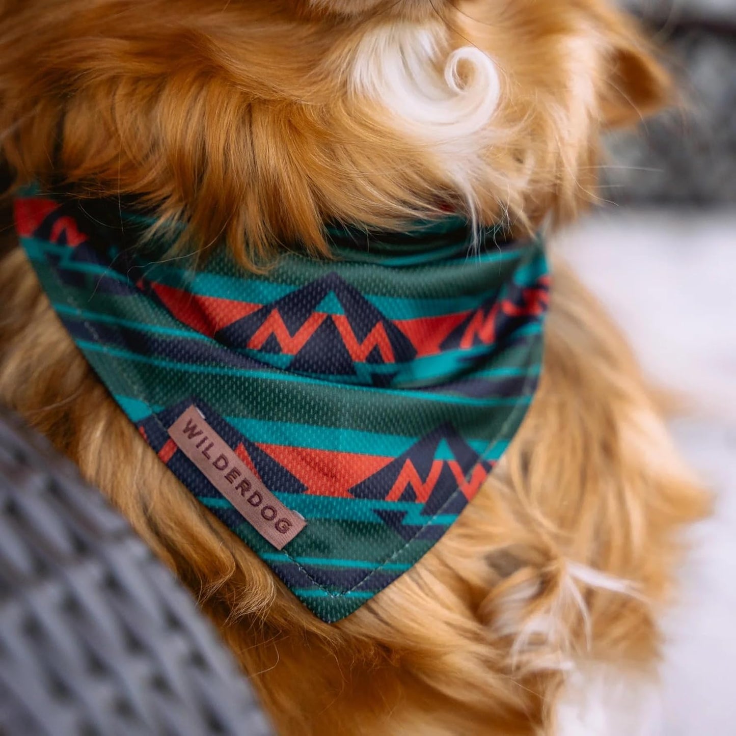 Wilderdog Dog Bandana with Lightweight Quick Drying Poly-Blend Mesh Material in Olive