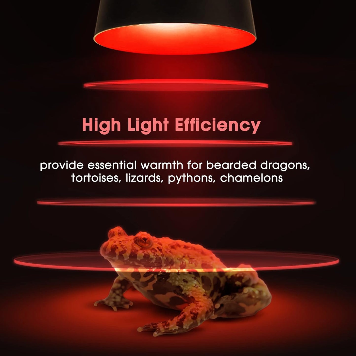 Briignite Reptile Heat Lamp Red, 50W G9 Heat Bulb & Dome Reptile Light Fixture, Aluminum Reflector, Dimmable Heat Lamp for Chicken, Turtle, Snake, Gecko, Lizard, 2 Pack